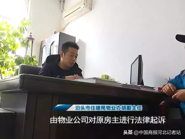 泊头二手房最新信息,泊头二手房最新信息，小巷深处的隐藏宝藏