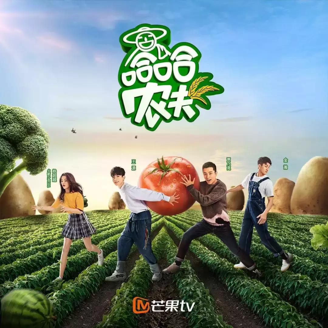 十一北京出京最新消息,十一北京出京最新消息，逃离都市，寻找心灵的自然归处