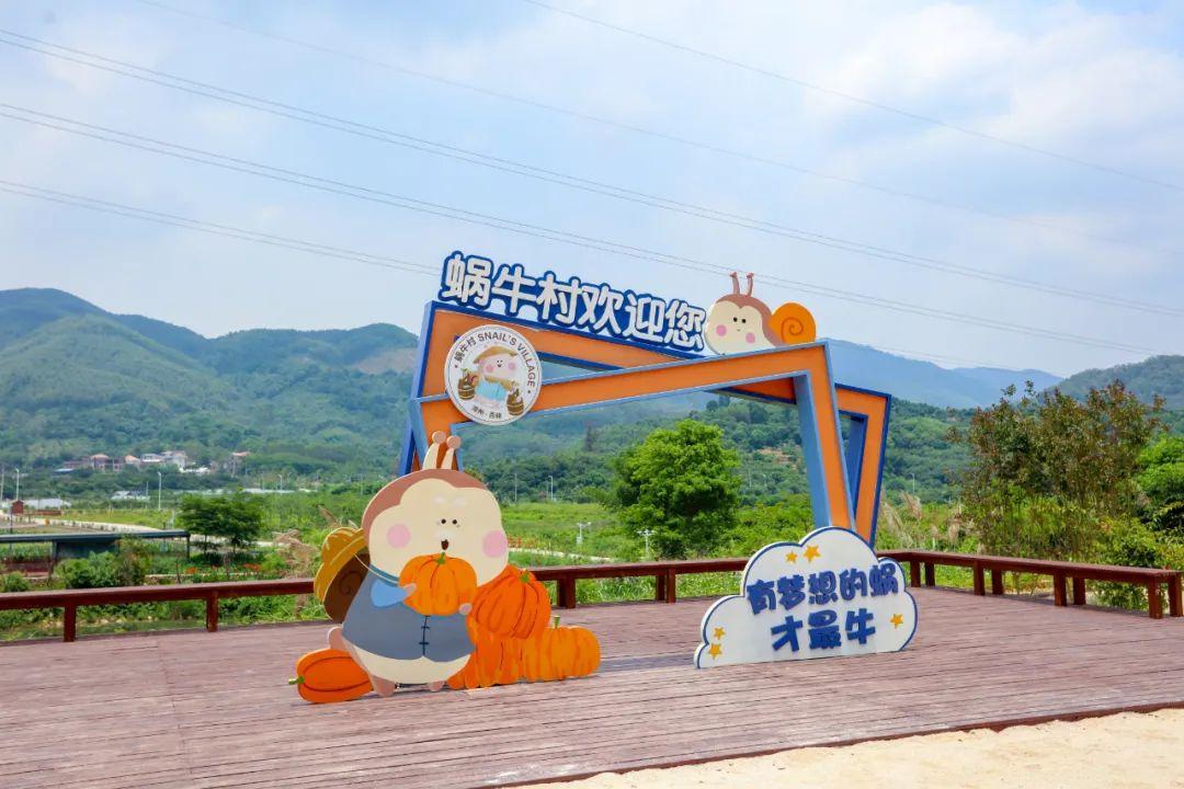 龙海一路最新消息,龙海一路最新消息，建设进展、未来规划与案例分析