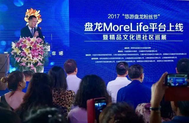 重庆盘龙新城最新消息,重庆盘龙新城最新消息，解读未来城市新篇章的三大要点